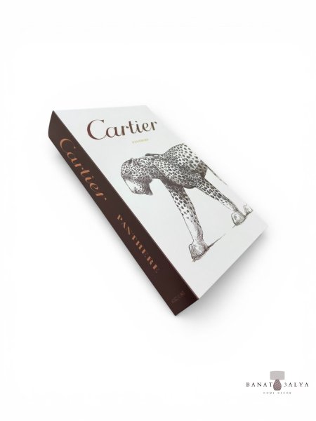 كُتب ديكور كرتون