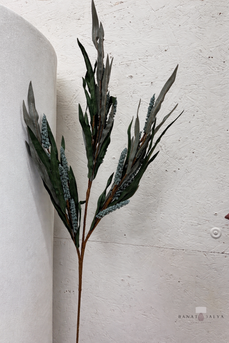 ورد السنابل مجفف