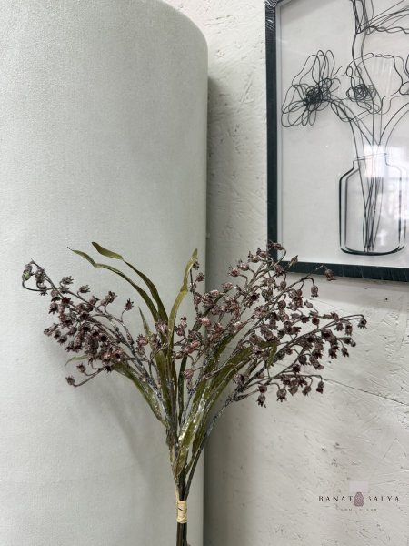 غصن براعم الرمان الريفي