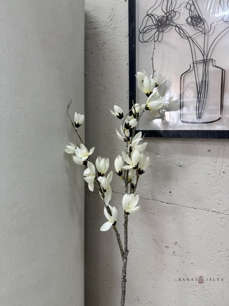 عرق ورود اللوز