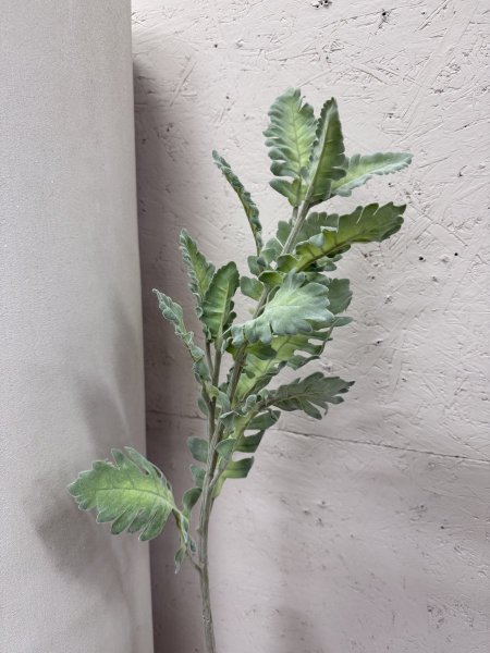 عرق خضار فاتح