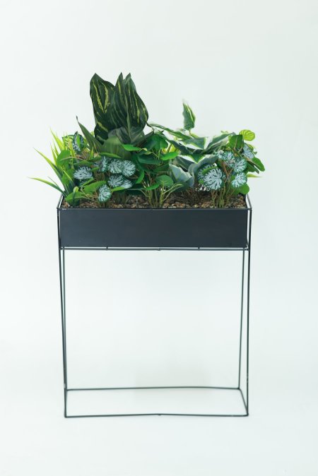 ستاند حديد مع تنسيق خضار